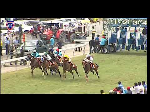 RM35 R2 | Marauding | O.Plaçais