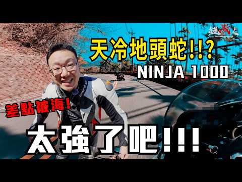 直擊天冷地頭蛇 Ninja1000 也太快了吧!!!這一定有偷改 !!!!