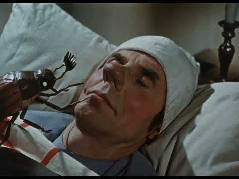 Max und Moritz HD Teil 10