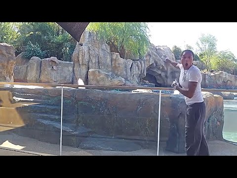 Nayah tries to enter the zoo amidst chaos and fun