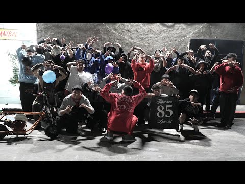 Dc Baby Draco and Dc Baby Draco 2