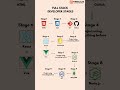 Becoming A Full Stack Developer