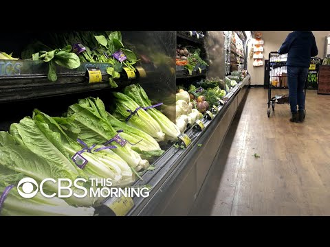 download lagu mp3 mp4 Fda Shutdown, download lagu Fda Shutdown gratis, unduh video klip Fda Shutdown