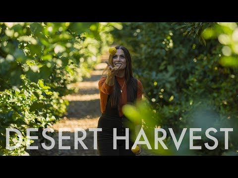Desert Harvest ~ Wander List