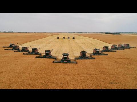 Raptor Enterprises Inc. -The Final Season