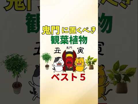 aménagement jardin feng-shui Aucuba japonica symbole Terre