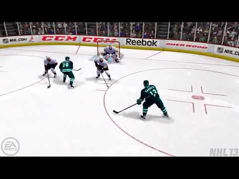 goalie interference vs ducks