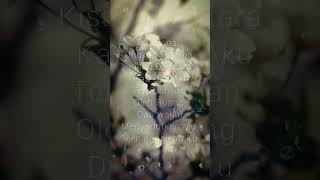 Download lagu Story Wa Lagu - Firman Kehilangan || Cover Lentera Music #shorts mp3