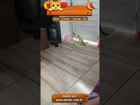 Vídeo de coraline 