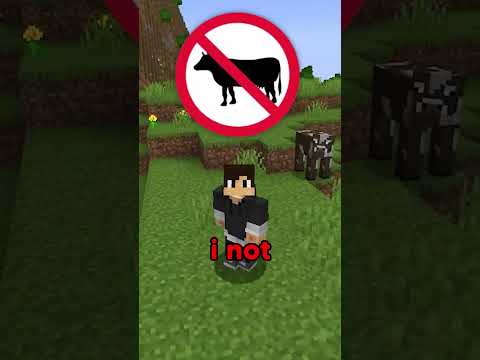 Minecraft if You Had to Follow Laws…