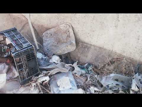 Mistergreen toglie la plastica da via Jacoponi