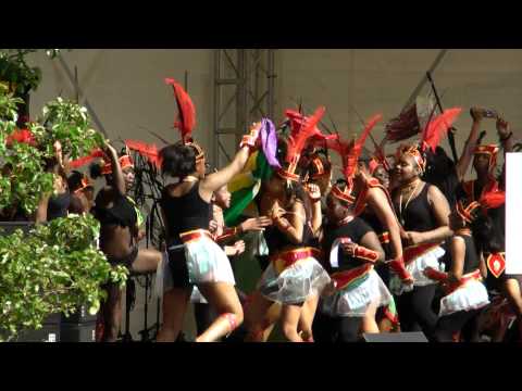 Caribbean Carnival Huddersfield 8-9 July 11 (Sat) (20) Stage-Pure Elegance.MP4