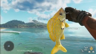 ファークライ6 釣りしてみた