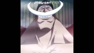 BARBA BRANCA FOI ATRÁS DO ACE!💀🔥#anime #onepiece #ace #barbabranca #onepieceedit #edit #shorts