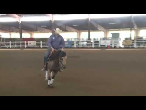 170722 Sam Schaffhauser on Jacs Lil Tinseltown Green