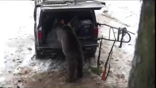 Прикол)))