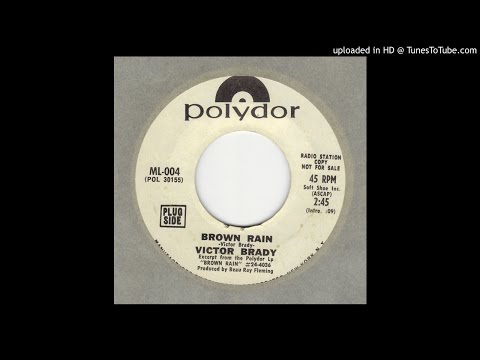 Victor Brady - Brown Rain