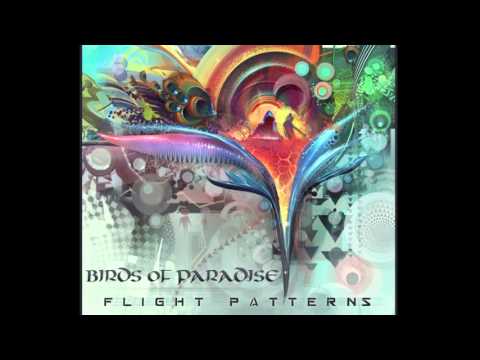 Wingspan (album edit) - Birds of Paradise - [Official]