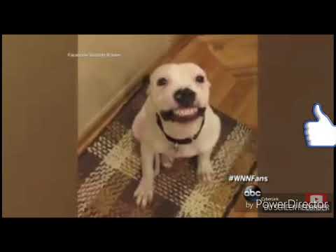 rinkiya ke papa!!! can't stop laughing