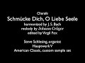 Chorale: Schmücke Dich, O Liebe Seele