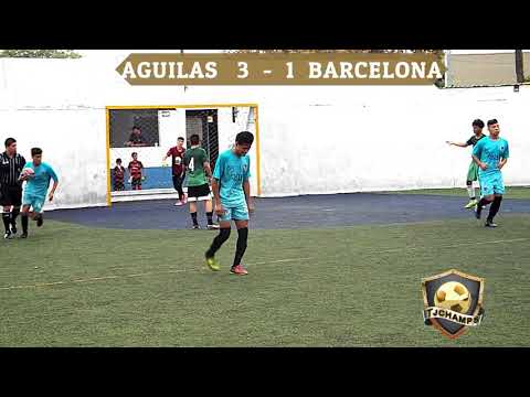 Campeonato Esttal 01 02 AGUILAS  vs  BARCELONA BAJA   Final