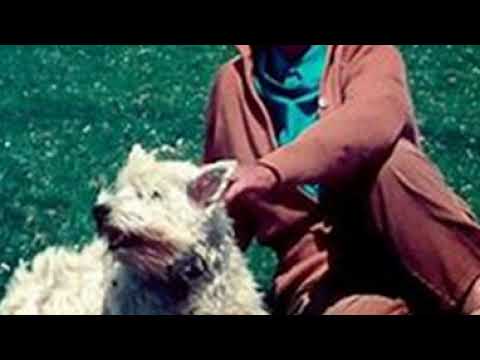 Dame Daphne du Maurier on Desert Island Discs (Audio Only)