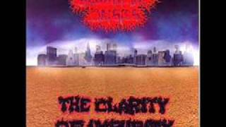 Summertime Daisies Blanket Of Sorrow