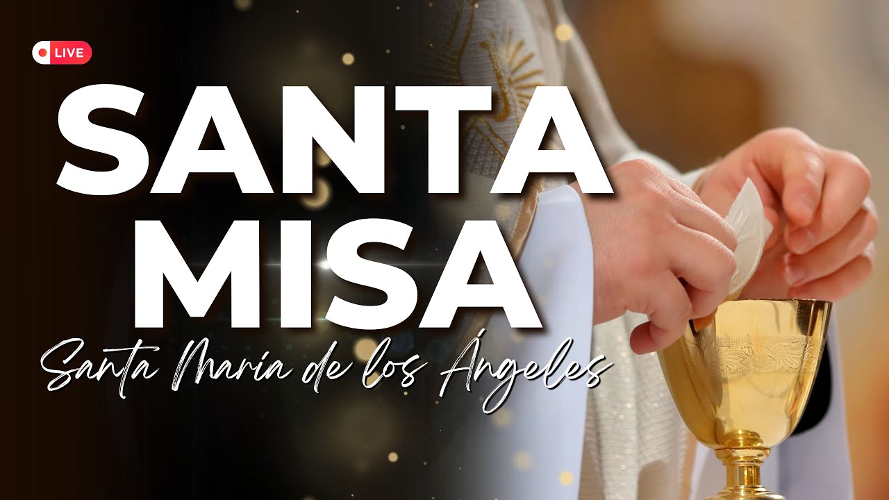 Santa Misa 23 Octubre 2024  - #ElBuenDios #misa #santamisahoy #misaenvivo #misadehoy Deus #Evangelho