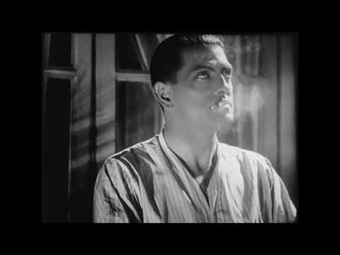 VITAM AETERNAM - Human [Single Teaser]