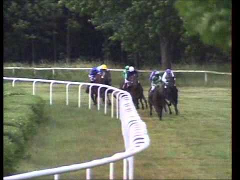 Galopprennbahn Dresden - 06.09.2012 - 3.Rennen