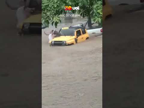 Mulher é amarrada em poste para se salvar de enxurrada durante chuva em Sorocaba; veja vídeo