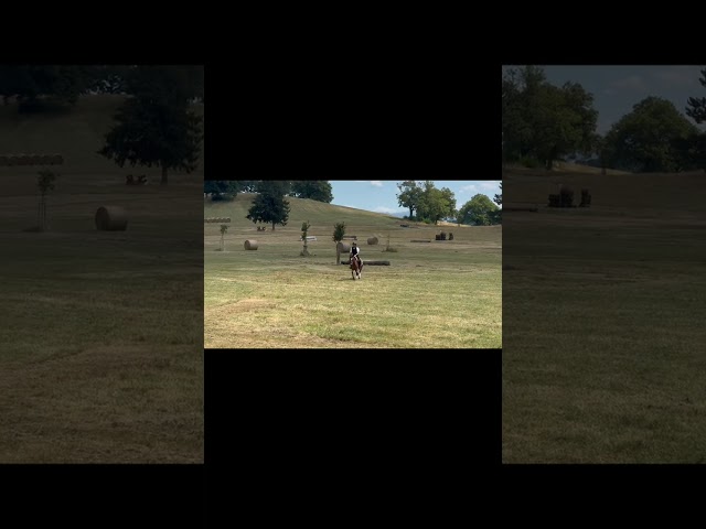 ‼️VENDITA‼️ Fantastico pony classe B. Anno 2014