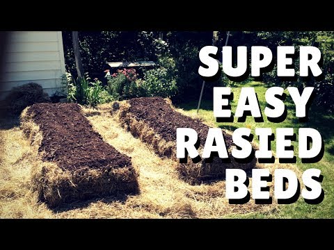 Hay Bale Garden - Instant Raised Beds!