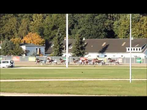 Trabrennen Hamburg vom 14.10.12 ( GROßER PREIS VON DEUTSCHLAND 2012 )