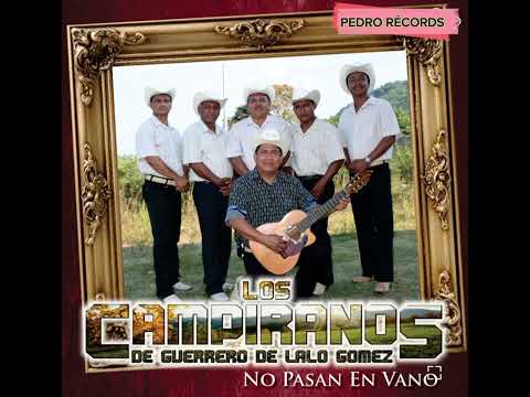 Los Campiranos de Lalo Gómez : La última Carta En vivo Desde Tlapa de Comonfort