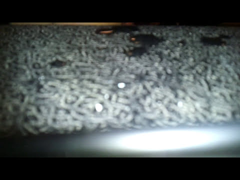 Křezťanckí ztát/ Christian state - Je mi na blití