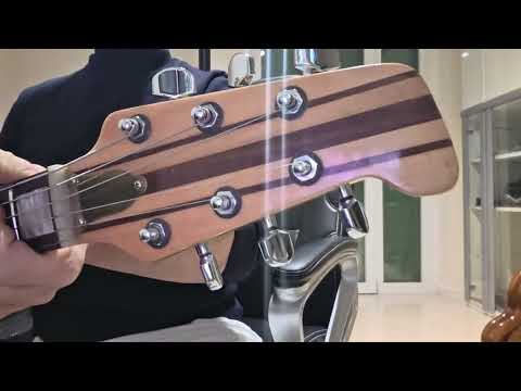 Vintage Custom Neck-Through Guitar — Alembic Style — Shadow Pickups & Schaller Tuners image 26