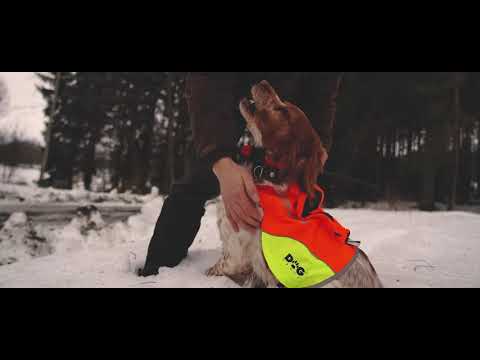 DOG GPS X30 - short version EN | Dogtrace