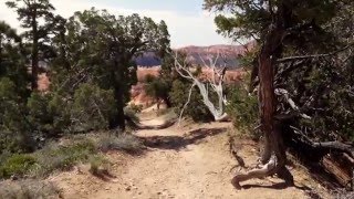 FROG EYES - Claxxon's Lament