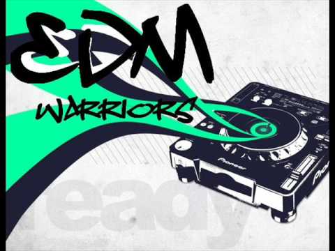 E.d.m. warriors - what kind ( house 2009 )