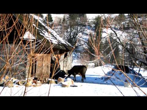 Imprejurimi Izvorul lui Dragos - Moisei, Maramures