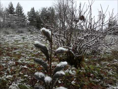 Šāgada pirmais sniegs.13.11.11..wmv