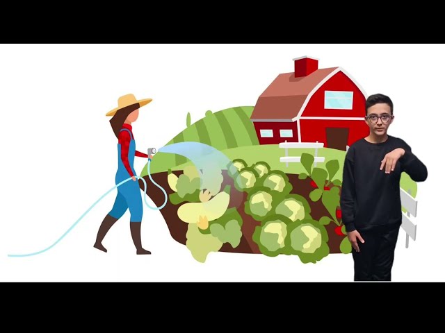 imagem ilustrativa da atividade