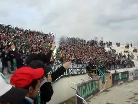 Tatangalar   Seviyorum Seni  Harika