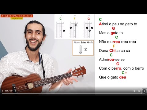 Seu Gato - Reinald Rás