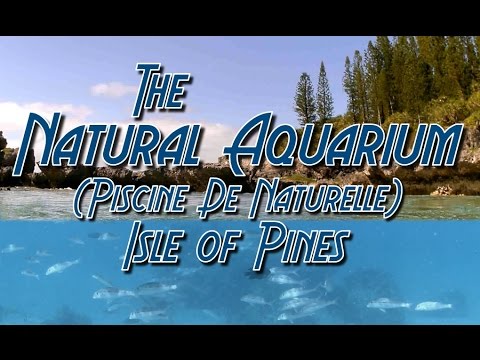 The Natural Aquarium on Isle of Pines