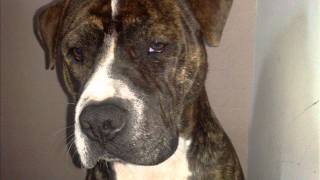 eminem -fuck off (rare)LYRYCS