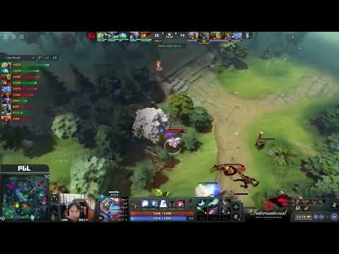 AG.NARMAN chrono chicken