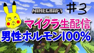 #003 マイクラ初心者、エンダードラゴン討伐までの記録。