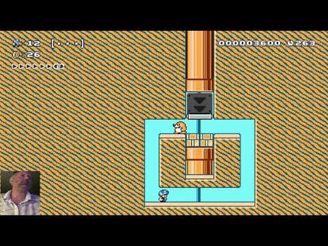 Highlight: Super Mario Maker 2: Best Bottom Tier Gaming Level Code: L09-CH1-YMF